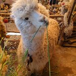 Photo taken by Susan B