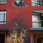 Photo taken by Janice B