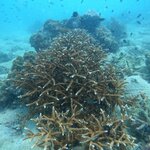 Photo taken by Susan & Bob M