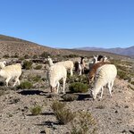 Photo taken by Douglas S