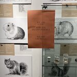 Photo taken by Sandra D