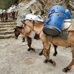 Photo taken by Gavin T