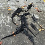 Photo taken by Randy H