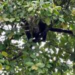 Photo taken by Lauren A