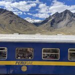 Photo taken by Alpa M