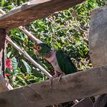 Photo taken by Tara T