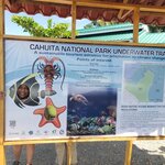 Photo taken by Tracye P