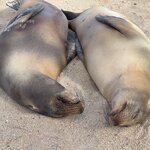 Photo taken by Thomas L