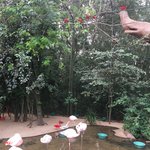 Photo taken by Ramnik B