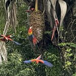 Photo taken by katie u