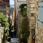 Photo taken by Ann P