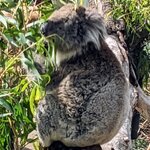 Photo taken by Daniel S