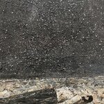 Photo taken by Lee G