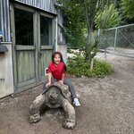 Photo taken by Jill B