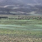 Photo taken by Mark L