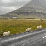 Photo taken by Kara R