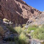 Photo taken by Rob G