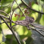 Photo taken by Darcy M