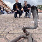 Photo taken by Thomas R