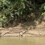 Photo taken by Donna G