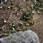 Photo taken by Mark S