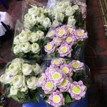 Photo taken by Shaula L