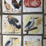 Photo taken by Virginia H