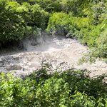 Photo taken by Erna P