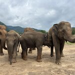 Photo taken by Dianne M