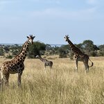 Photo taken by Michael L