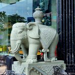 Photo taken by E.J. B