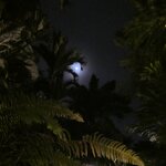 Photo taken by Brett F