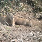 Photo taken by Shanthi V