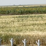 Photo taken by Jay H