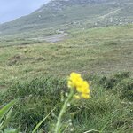 Photo taken by Tina D