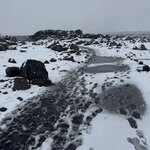 Photo taken by Dawn S