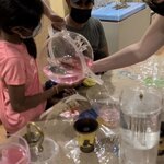 Photo taken by Aktta P