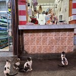 Photo taken by Becky S