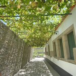 Photo taken by Kaisha S