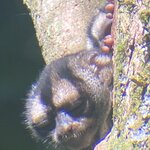 Photo taken by Nicole S