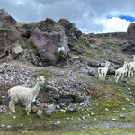 Photo taken by Lori S