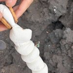 Smores! | Photo taken by BRAD K