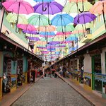 Photo taken by Chaitanya A