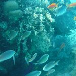 Photo taken by Chris M