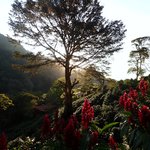 Photo taken by Graeme W