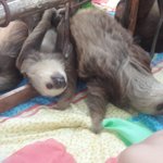 Photo taken by Claudia S