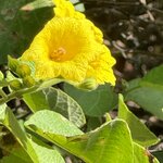 Photo taken by Gary W