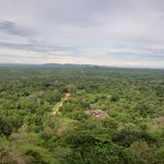 Photo taken by Dineia P