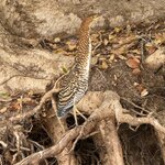 Photo taken by Kakoli K