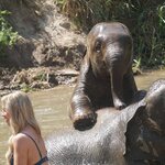 Photo taken by Nicole S